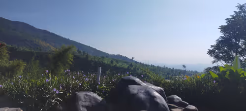 Item #111656158034307518471123911429226470304430778957481106264410992933141802385409 Media