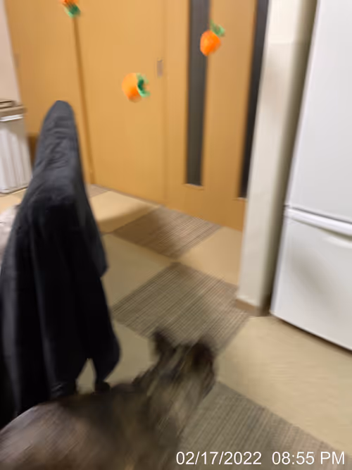 Item #99685864258770601277757069699041273913103300030191572471139504763691516035073 Media