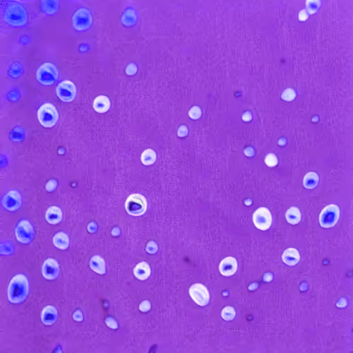 Item #58241160855422744817468407088196322100109565521561100950236907562392459673601 Media