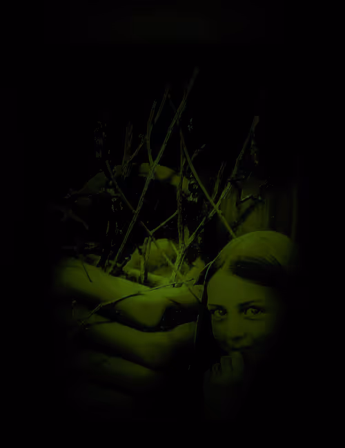 Item #85043563857425734787029872858228068518532895461354812368453170636138850811905 Media