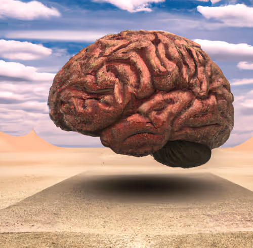 Item #37811477179754297602429756947520757984388748987284597207447187884517426724865 Media