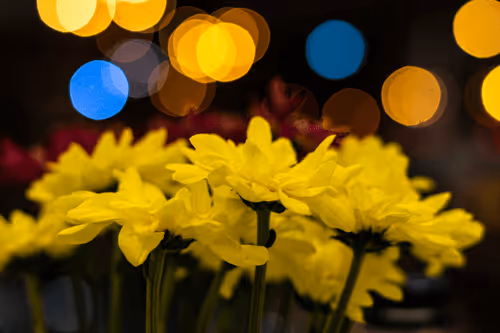 Item #68974856610287891345398477420152131783231641207281089982933452464838527680513 Media