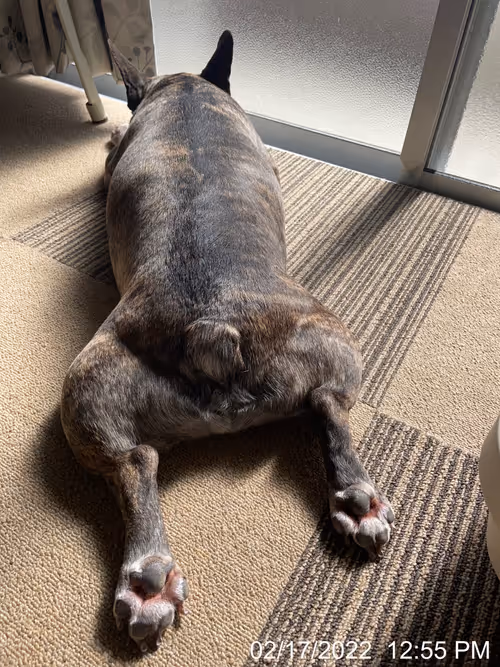 Item #99685864258770601277757069699041273913103300030191572471139504658138399768577 Media