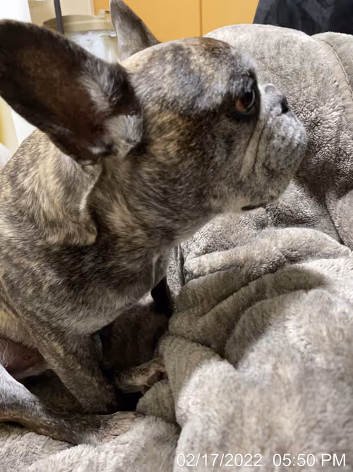 Item #99685864258770601277757069699041273913103300030191572471139504723009585807361 Media