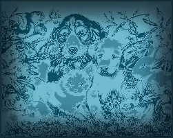 Item #32702233583669198644822038353954094621120595910518874948842520145881708101633 Media