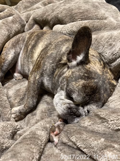 Item #99685864258770601277757069699041273913103300030191572471139504798875888123905 Media