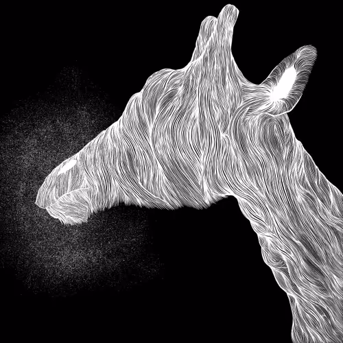 Item #48216677678887992956199146050101977369740452437452834237877791804936748531722 Media