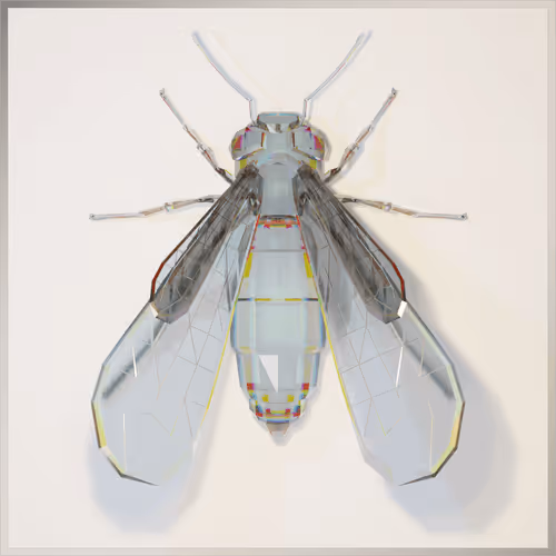 Item #25453788689510554603885852270027977243626076098541002992990204154750475173889 Media