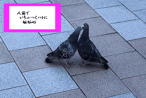 Item #105860209069510851658697483595549526517143773271628059867265555014905889816581 Media