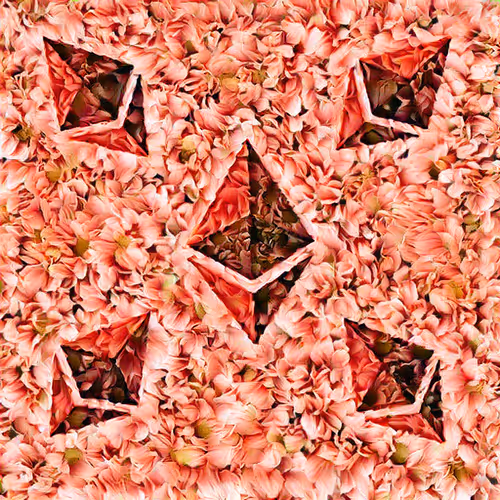 Item #83387045496193686445577447238460242229177682739050865142184546372484042063873 Media