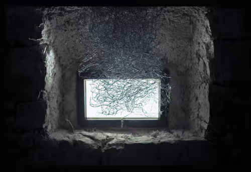 Item #39235584922614142939660206561436219704889843519746520476094237024529430872065 Media