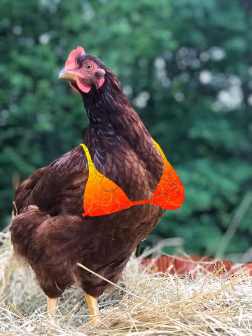 Item #94805265999709624542573221324772378019818175988873368548427765408491127177217 Media