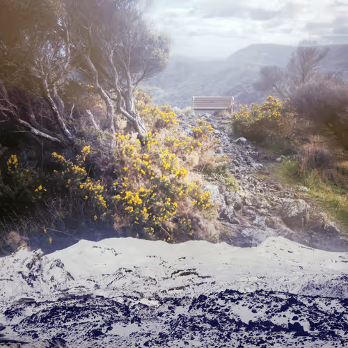 Item #59100591460969090848093152469102707440885830414673782650703488374137851740165 Media