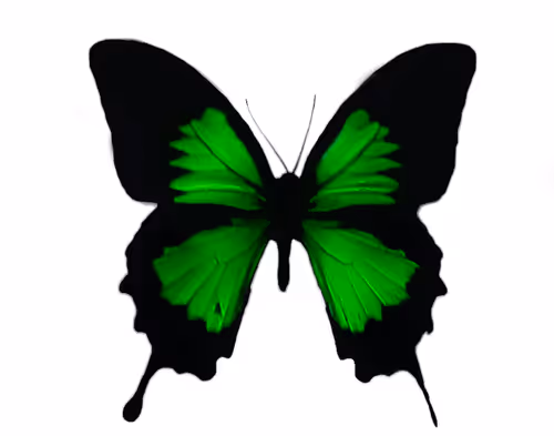 Item #114870335106955473169093684983485936452695297859029117914503749910900512915457 Media