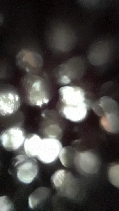 Item #63526853826198392406713632396927402135377910801782658572975433553125599870977 Media