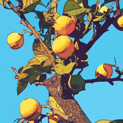 Item #11059950706512792654802825929225580501304675851141237056698729662056727838725 Media