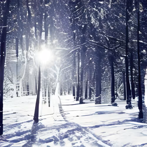 Item #71255212912506859186506944383182415043048057014046496385796151588485234425857 Media