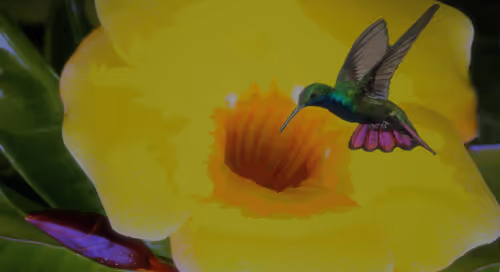 Item #41423174657448755454775180770704774351895892577704630438802697567664158539777 Media