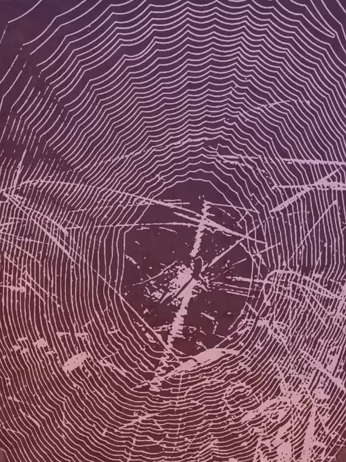 Item #111652930109264043611935341067736255756439208084570795366540966567658584539137 Media