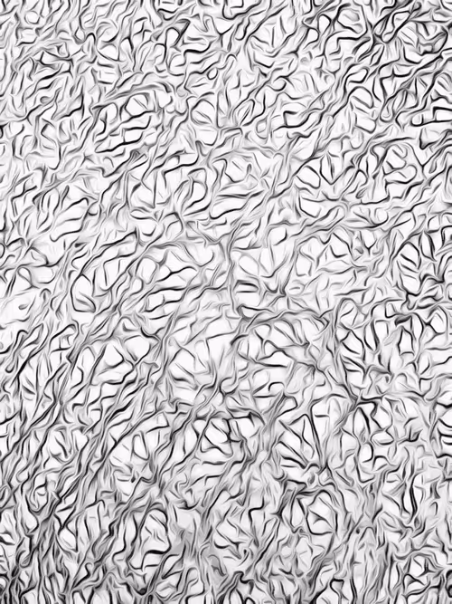 Item #26363452696448564677607507811535355388888413099510016234842399958164815478785 Media