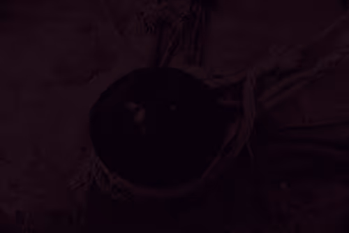 Item #99206175731752603969632246751396839615347692654100145142238794213732665786369 Media