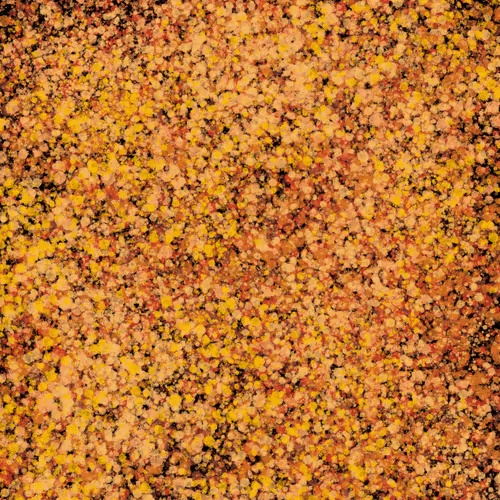 Item #7965548957634048696058756427613810033332288381231321723297303209785784532993 Media