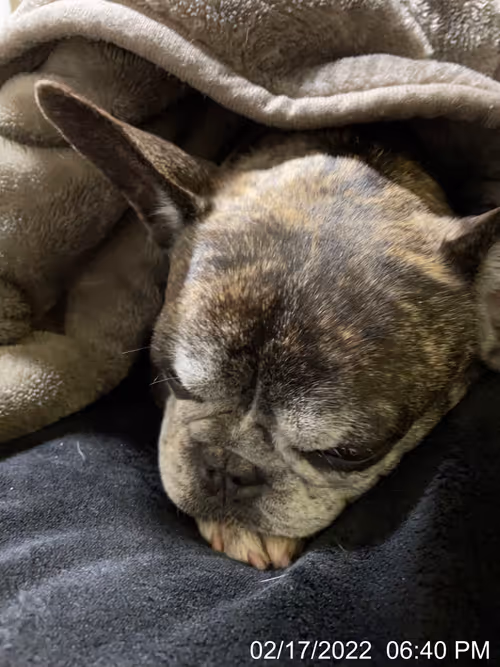 Item #99685864258770601277757069699041273913103300030191572471139504734004702085121 Media