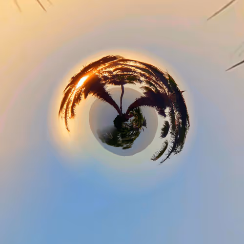 Item #33967597891392155351384980553994882442303756807492205648420271213399204954122 Media