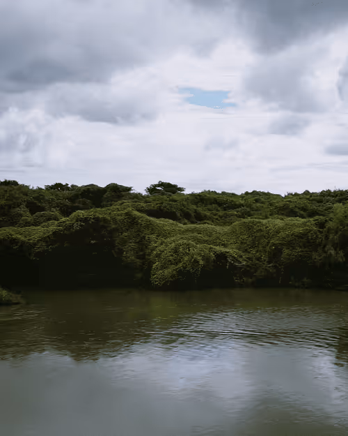 Item #54143456413327812169594695193466186218348543352016863544416318058652005040129 Media