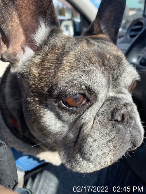 Item #99685864258770601277757069699041273913103300030191572471139504682327655579649 Media