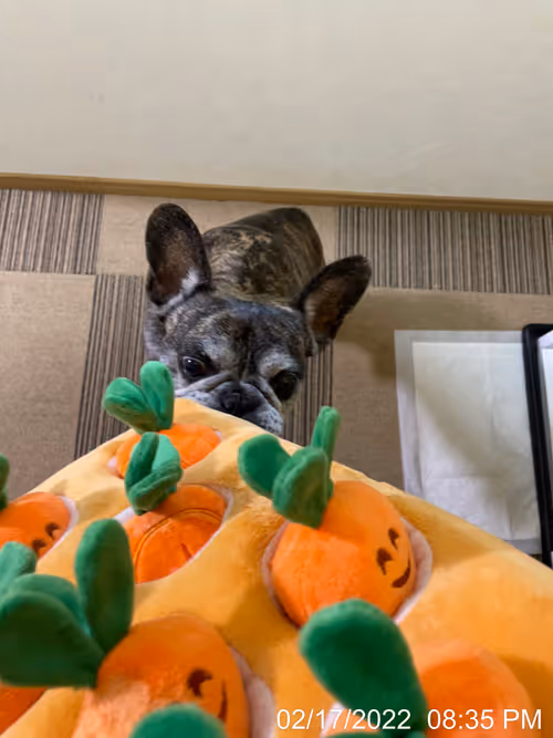 Item #99685864258770601277757069699041273913103300030191572471139504759293469523969 Media