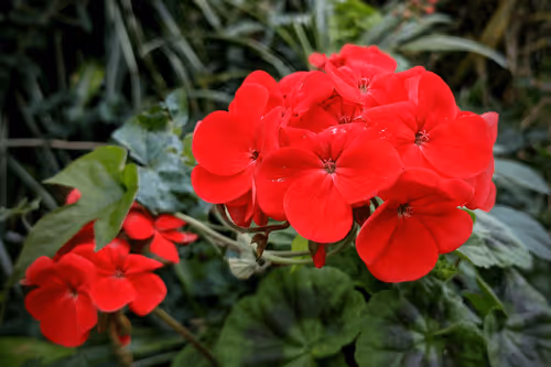 Item #39075669952795110311488058078452160275975432518977374571902800584929926184961 Media