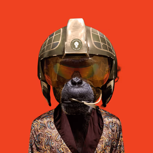 Item #53599243288124061253868849108675731407580488356595065985204717189491503136769 Media