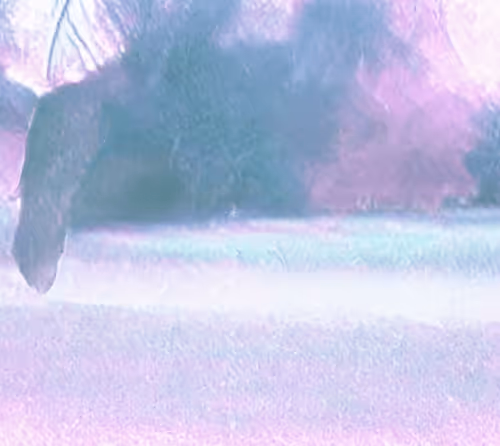 Item #81389452228015721923544690746270190594299388963234071450728085734076373270529 Media