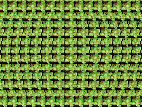 Item #88130759945627104659717679191221454266034471684034986277212474773938016092180 Media