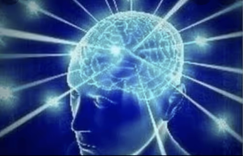 Item #69656752182109775040530807975296525402156367387357554870061455170720564772865 Media