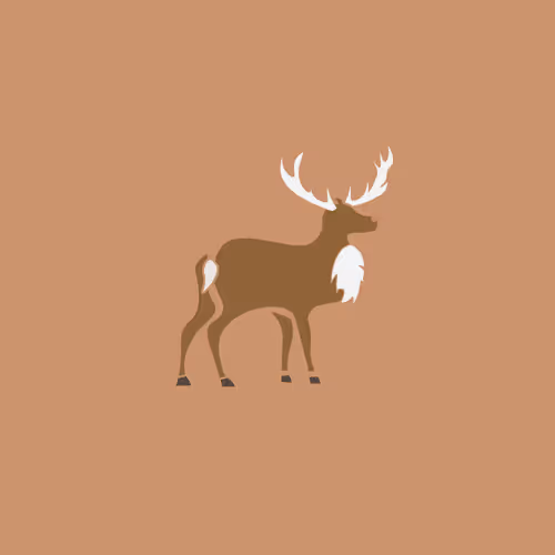 Item #50936484197759787653400752667682179396459806793015042147278738715610762444801 Media