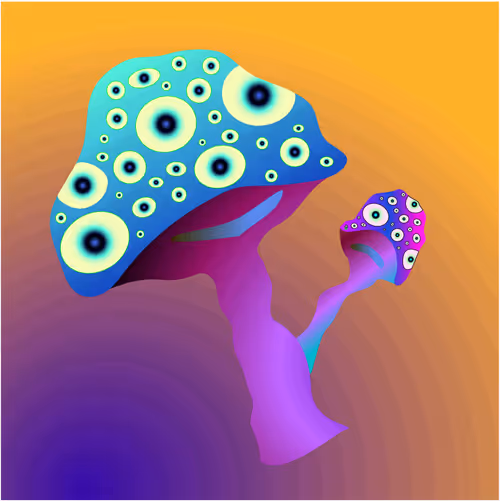 Item #69353682132584287921640915502496302946504347868100656215909837751867253194753 Media