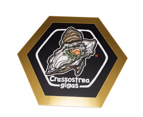 Item #43036373961938536366575155881670300754799737399724292781116150638386360615012 Media