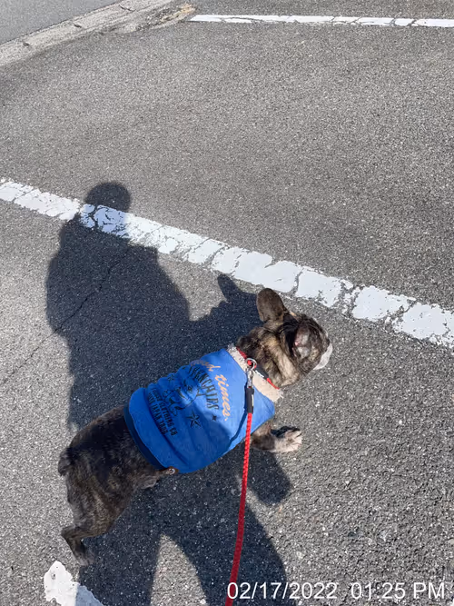 Item #99685864258770601277757069699041273913103300030191572471139504664735469535233 Media