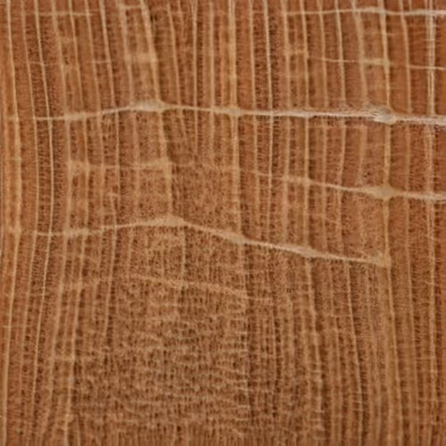 Item #58241160855422744817468407088196322100109565521561100950236908735571366510593 Media