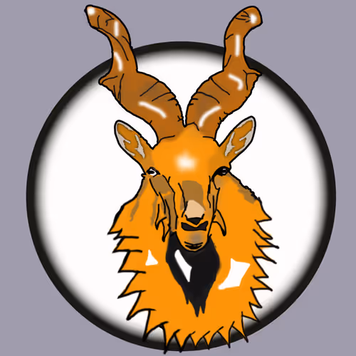 Item #719898021756930175620113612480969691378012716345800177345051907556152181736 Media