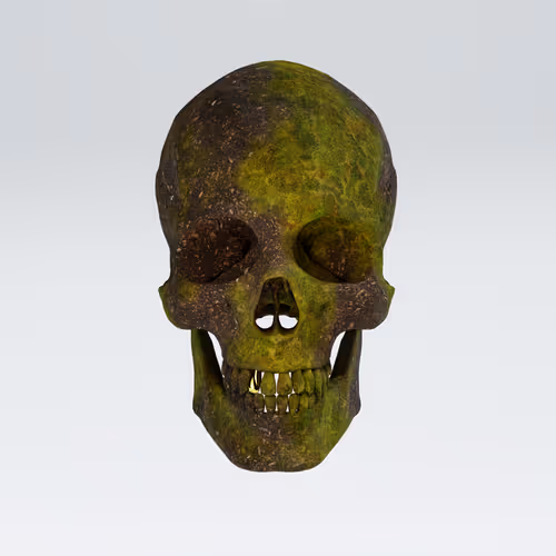 Item #80076354742007887293281145361958703683206063738130976999321272322148960043018 Media