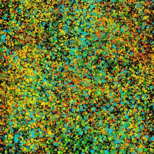 Item #7965548957634048696058756427613810033332288381231321723297303197691156627457 Media