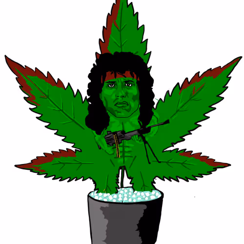 3629226787036885345407013839473637357726433756934680638690710382011222065153