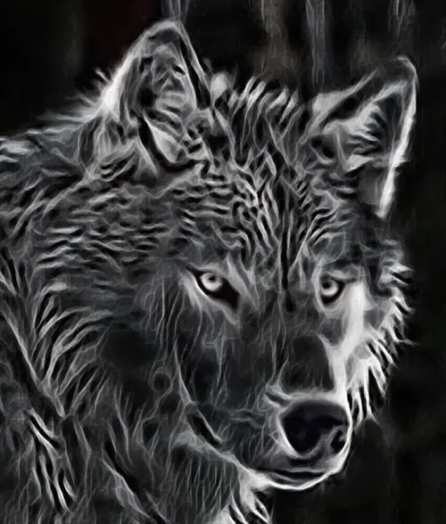 Item #22623297383426892917101335270761698949847758593200202890070986070854408863844 Media