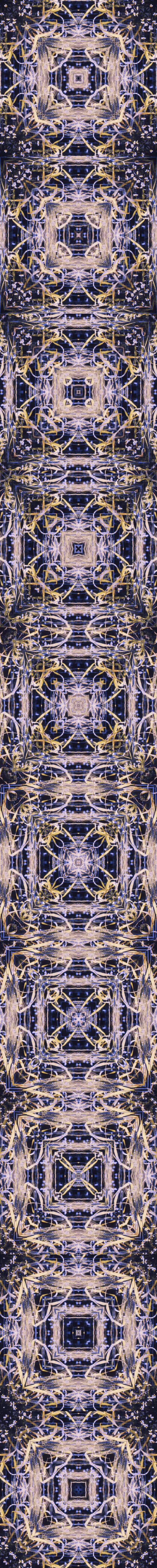 Item #33273431064062745158281459223994481396408298461003960329838769673340322840581 Media