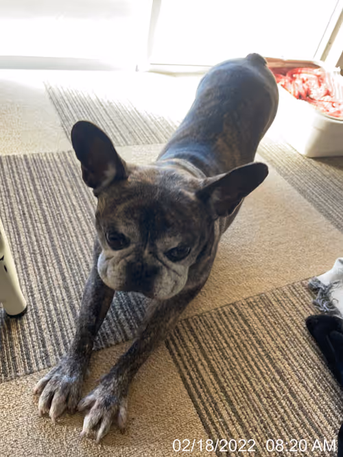 Item #99685864258770601277757069699041273913103300030191572471139504821965632307201 Media