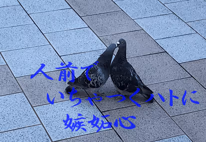 Item #105860209069510851658697483595549526517143773271628059867265555032498075860995 Media