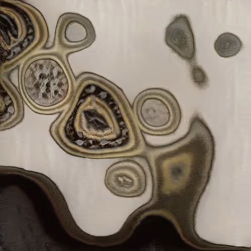 Item #58241160855422744817468407088196322100109565521561100950236908503574413049857 Media